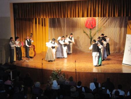 Folklorni festival 14